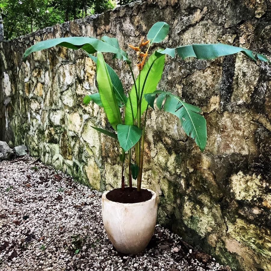 Escarabajo Rojo Bed & Breakfast Tulum Bagian luar foto