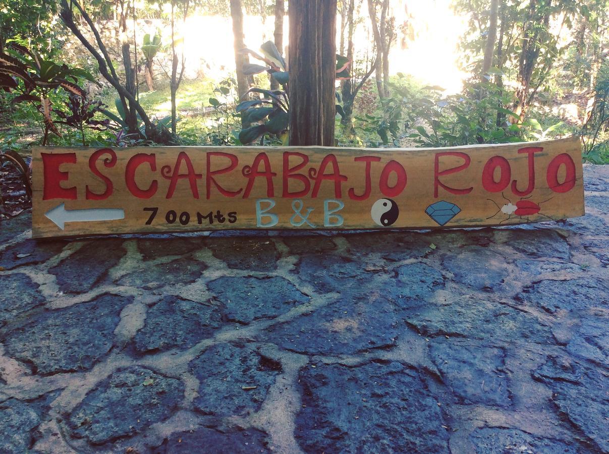 Escarabajo Rojo Bed & Breakfast Tulum Bagian luar foto