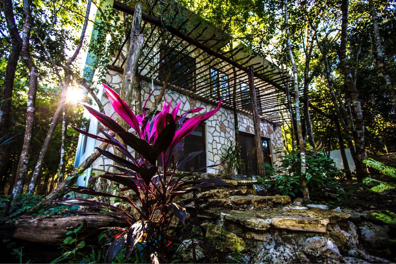Escarabajo Rojo Bed & Breakfast Tulum Bagian luar foto
