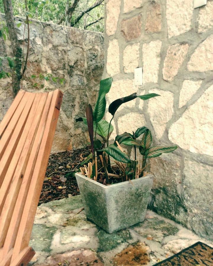 Escarabajo Rojo Bed & Breakfast Tulum Bagian luar foto